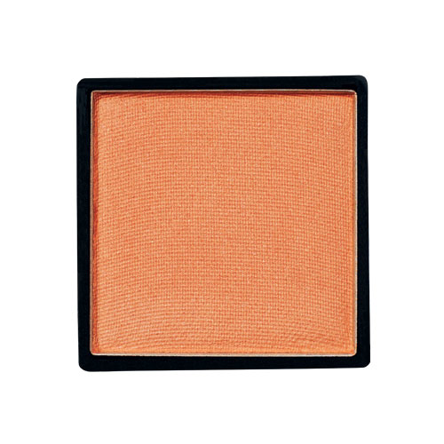 Eyeshadow Refill x 1 $23