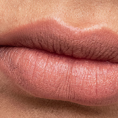 Professional Artist Intense Lipstick 3g